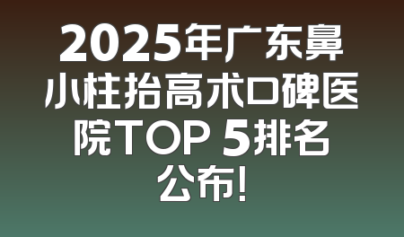 2025年广东鼻小柱抬高术口碑医院TOP 5排名公布！