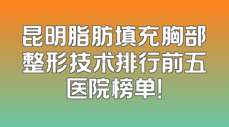 昆明脂肪填充胸部整形技术排行前五医院榜单！