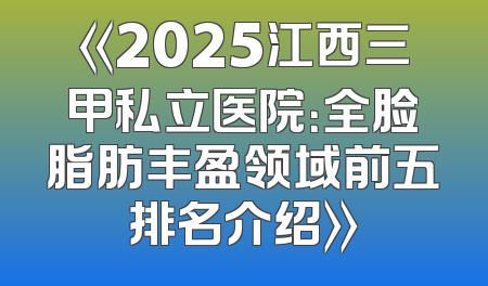 《2025江西三甲私立医院：全脸脂肪丰盈领域前五排名介绍》
