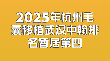 2025年杭州毛囊移植武汉中翰排名暂居第四