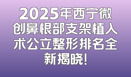 2025年西宁微创鼻根部支架植入术公立整形排名全新揭晓！