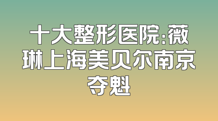 十大整形医院：薇琳上海美贝尔南京夺魁