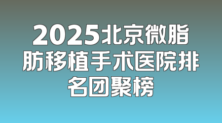 2025北京微脂肪移植手术医院排名团聚榜