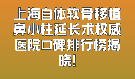 上海自体软骨移植鼻小柱延长术权威医院口碑排行榜揭晓！