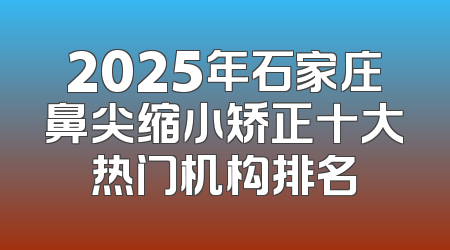 2025年石家庄鼻尖缩小矫正十大热门机构排名