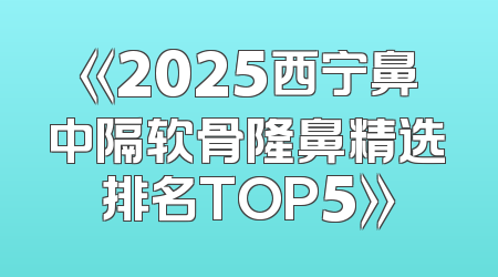 《2025西宁鼻中隔软骨隆鼻精选排名TOP5》