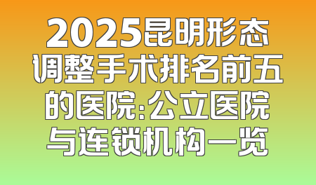 2025昆明形态调整手术排名前五的医院：公立医院与连锁机构一览