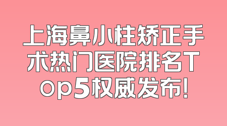 上海鼻小柱矫正手术热门医院排名Top5权威发布！