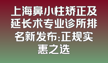 上海鼻小柱矫正及延长术专业诊所排名新发布：正规实惠之选