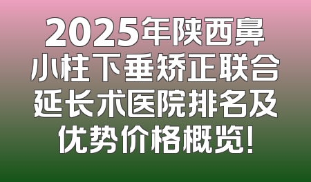 2025年陕西鼻小柱下垂矫正联合延长术医院排名及优势价格概览！