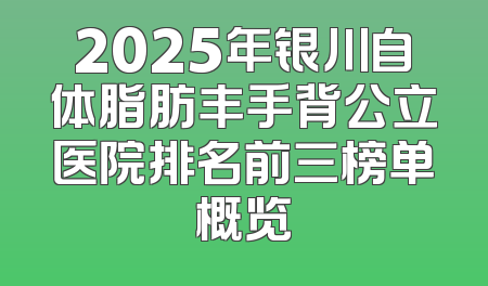 2025年银川自体脂肪丰手背公立医院排名前三榜单概览