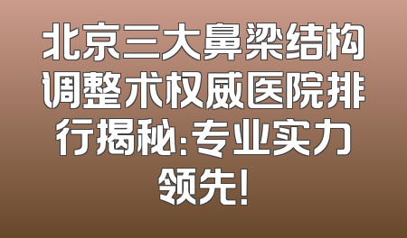 北京三大鼻梁结构调整术权威医院排行揭秘：专业实力领先！