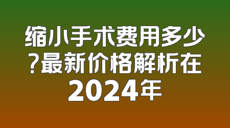 缩小手术费用多少？最新价格解析在2024年