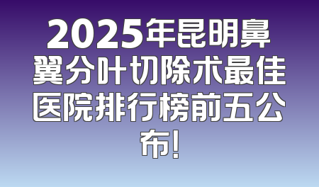 2025年昆明鼻翼分叶切除术最佳医院排行榜前五公布！