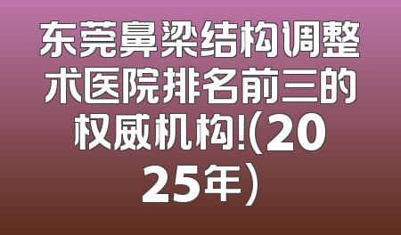 东莞鼻梁结构调整术医院排名前三的权威机构！(2025年)