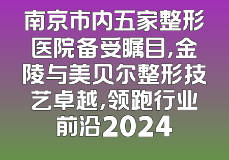 南京市内五家整形医院备受瞩目，金陵与美贝尔整形技艺卓越，领跑行业前沿2024