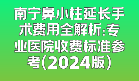 南宁鼻小柱延长手术费用全解析：专业医院收费标准参考（2024版）