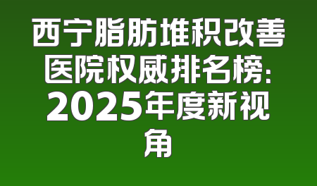 西宁脂肪堆积改善医院权威排名榜：2025年度新视角