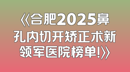 《合肥2025鼻孔内切开矫正术新领军医院榜单!》