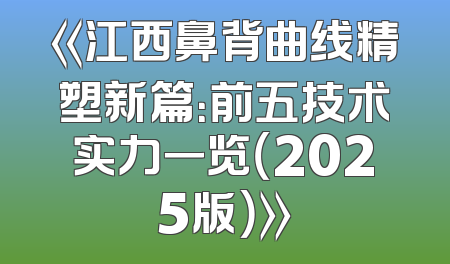 《江西鼻背曲线精塑新篇：前五技术实力一览（2025版）》