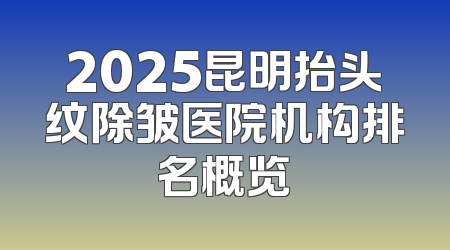 2025昆明抬头纹除皱医院机构排名概览
