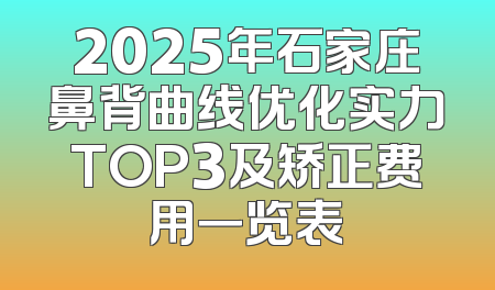 2025年石家庄鼻背曲线优化实力TOP3及矫正费用一览表
