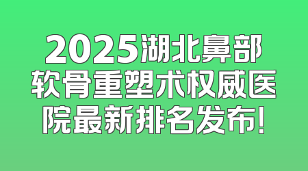 2025湖北鼻部软骨重塑术权威医院最新排名发布！