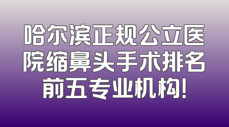 哈尔滨正规公立医院缩鼻头手术排名前五专业机构！