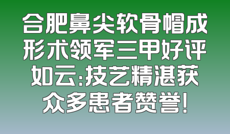 合肥鼻尖软骨帽成形术领军三甲好评如云：技艺精湛获众多患者赞誉！