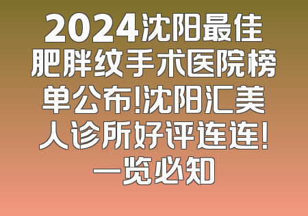 2024沈阳最佳肥胖纹手术医院榜单公布！沈阳汇美人诊所好评连连！一览必知