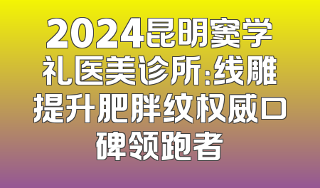 2024昆明窦学礼医美诊所：线雕提升肥胖纹权威口碑领跑者