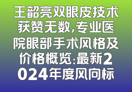 王韶亮双眼皮技术获赞无数，专业医院眼部手术风格及价格概览：最新2024年度风向标