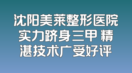 沈阳美莱整形医院实力跻身三甲 精湛技术广受好评