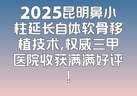 2025昆明鼻小柱延长自体软骨移植技术，权威三甲医院收获满满好评!