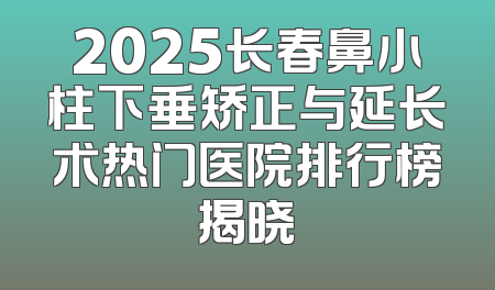 2025长春鼻小柱下垂矫正与延长术热门医院排行榜揭晓