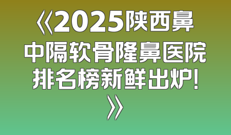 《2025陕西鼻中隔软骨隆鼻医院排名榜新鲜出炉！》