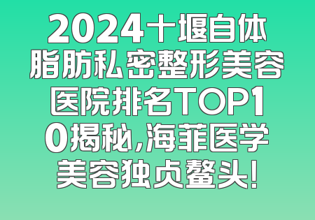2024十堰自体脂肪私密整形美容医院排名TOP10揭秘，海菲医学美容独占鳌头！