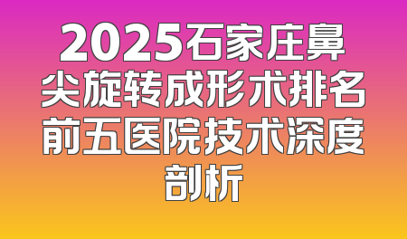 2025石家庄鼻尖旋转成形术排名前五医院技术深度剖析