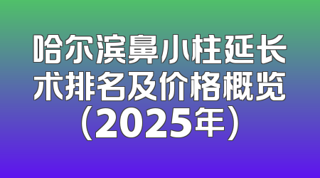 哈尔滨鼻小柱延长术排名及价格概览（2025年）