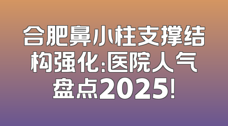 合肥鼻小柱支撑结构强化：医院人气盘点2025！
