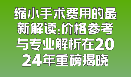 缩小手术费用的最新解读：价格参考与专业解析在2024年重磅揭晓