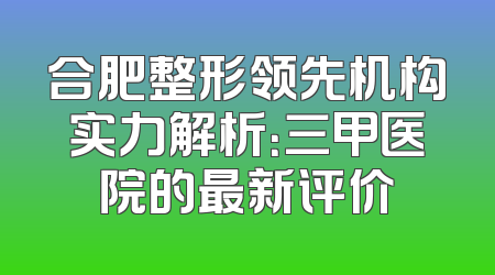 合肥整形领先机构实力解析：三甲医院的最新评价