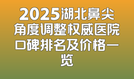 2025湖北鼻尖角度调整权威医院口碑排名及价格一览