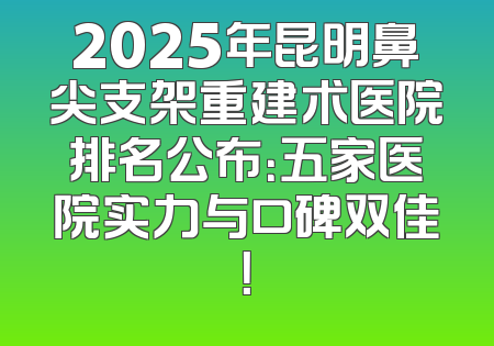 2025年昆明鼻尖支架重建术医院排名公布：五家医院实力与口碑双佳！