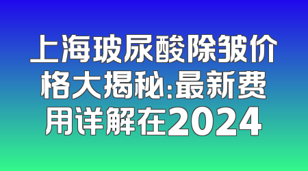 上海玻尿酸除皱价格大揭秘：最新费用详解在2024