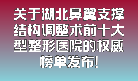 关于湖北鼻翼支撑结构调整术前十大型整形医院的权威榜单发布！