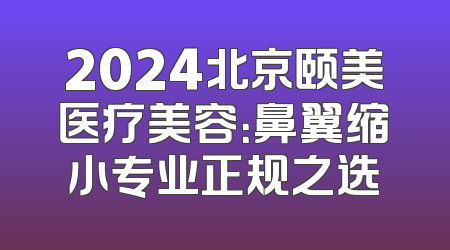 2024北京颐美医疗美容：鼻翼缩小专业正规之选
