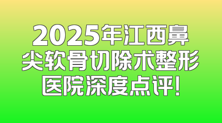 2025年江西鼻尖软骨切除术整形医院深度点评！