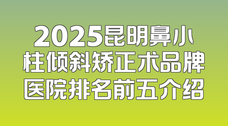 2025昆明鼻小柱倾斜矫正术品牌医院排名前五介绍