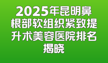 2025年昆明鼻根部软组织紧致提升术美容医院排名揭晓